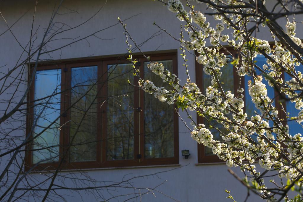 Farah Superior Apartments Bihać Dış mekan fotoğraf